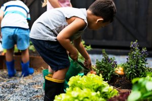 Read more about the article Gardening Ideas for KIds