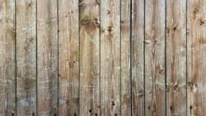 Read more about the article Should I stain my fence?