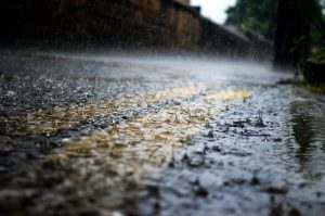 Read more about the article Landscaping Tips to Help Prevent Flooding