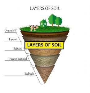Topsoil is the most important component of your garden. Whether you are landscaping your yard or you are rebuilding your flower beds, it is important to use the right soil. If you use the wrong type of top soil, all your hard work may be of no use. Using the wrong soil may result in washing away of soil during the first heavy rain. If your top soil lacks nutrients, your flowers might fail to bloom.